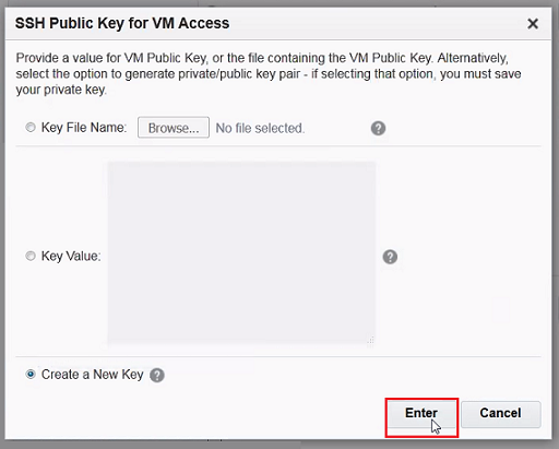 SSH Public Key Input